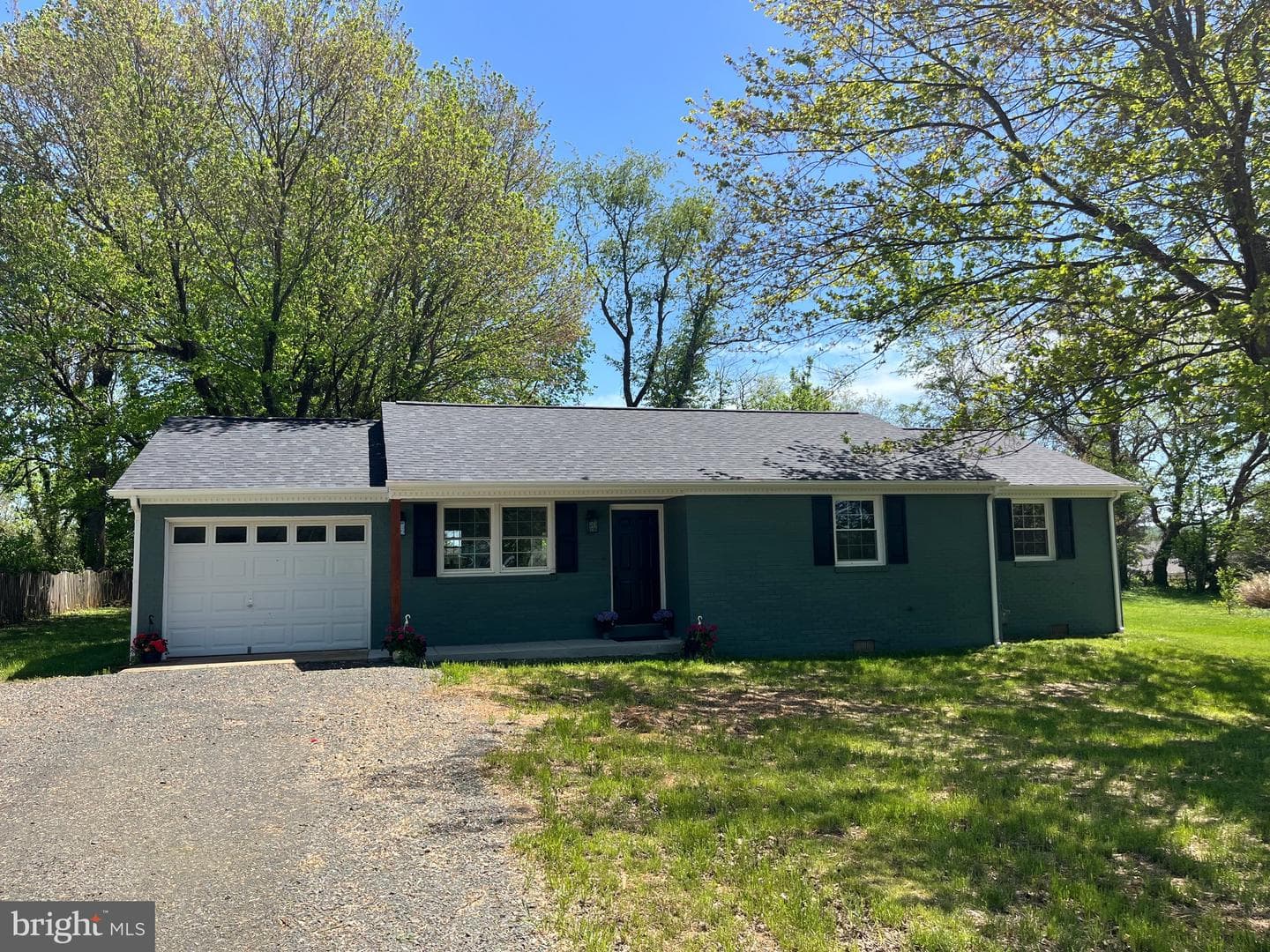 377 Cleveland Street photo 21