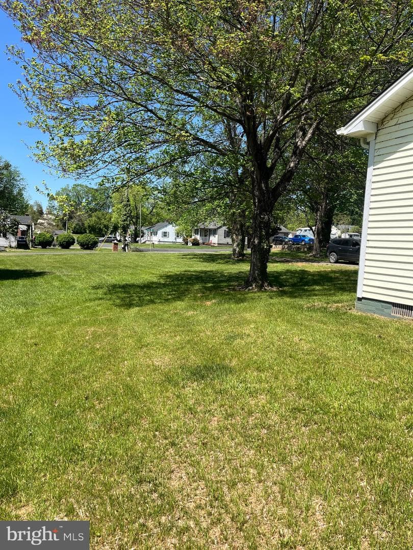 377 Cleveland Street photo 22