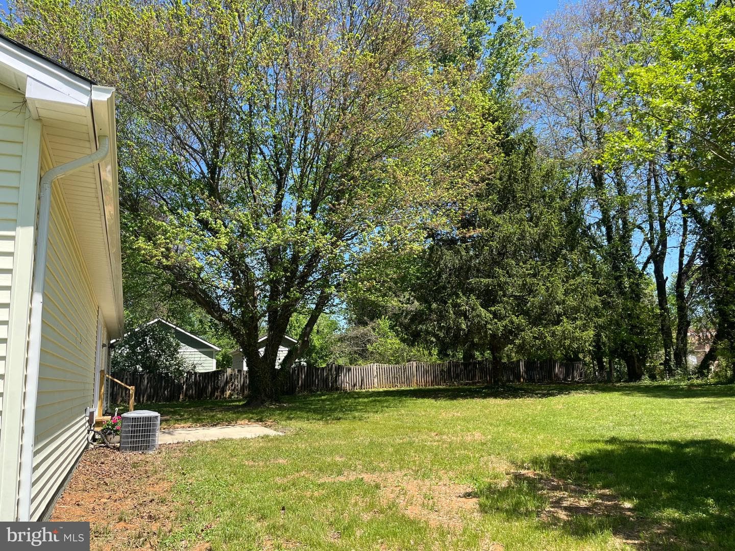 377 Cleveland Street photo 23