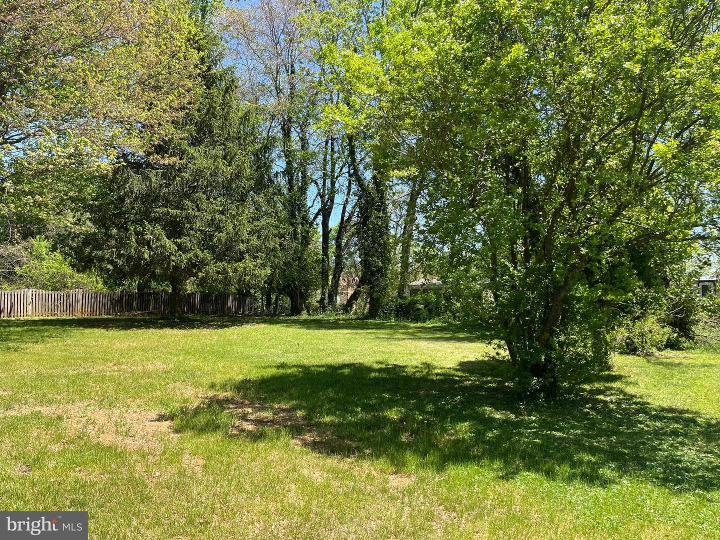 377 Cleveland Street photo 24