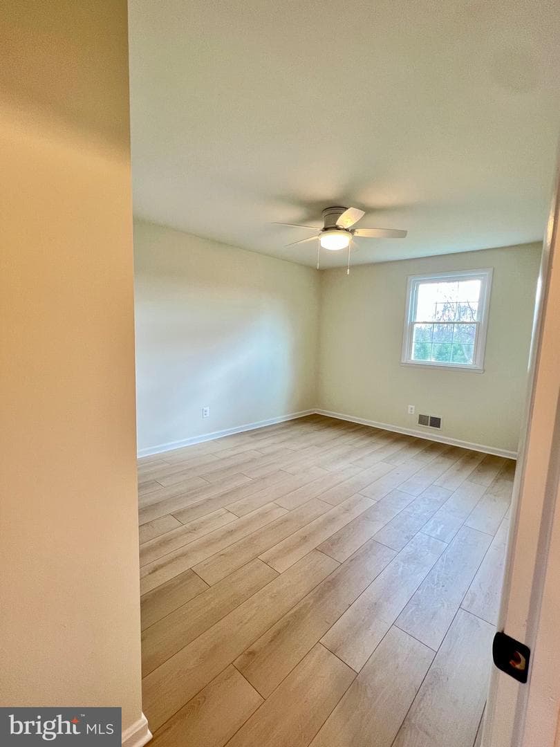 377 Cleveland Street photo 9