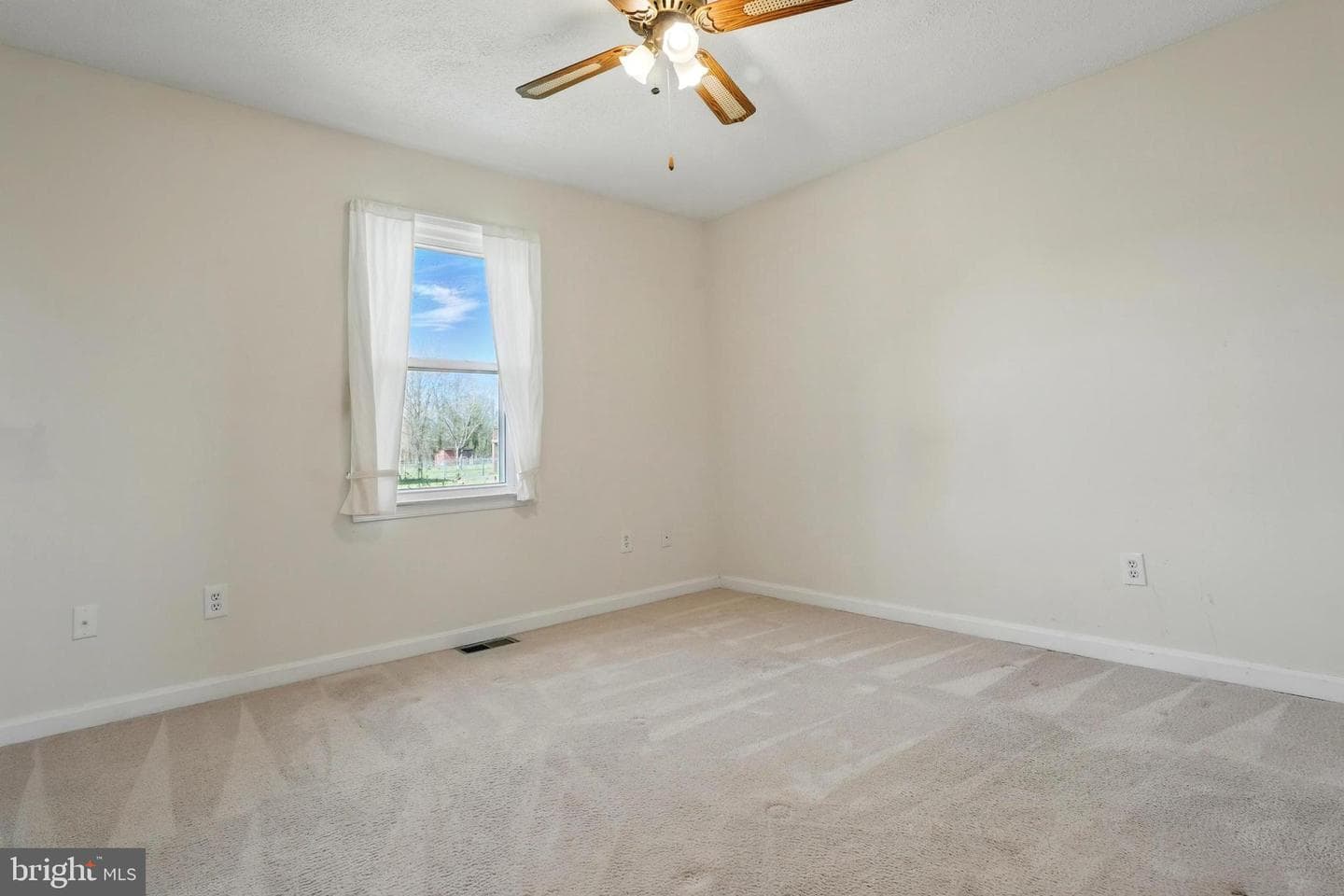 10744 Blake Lane photo 21
