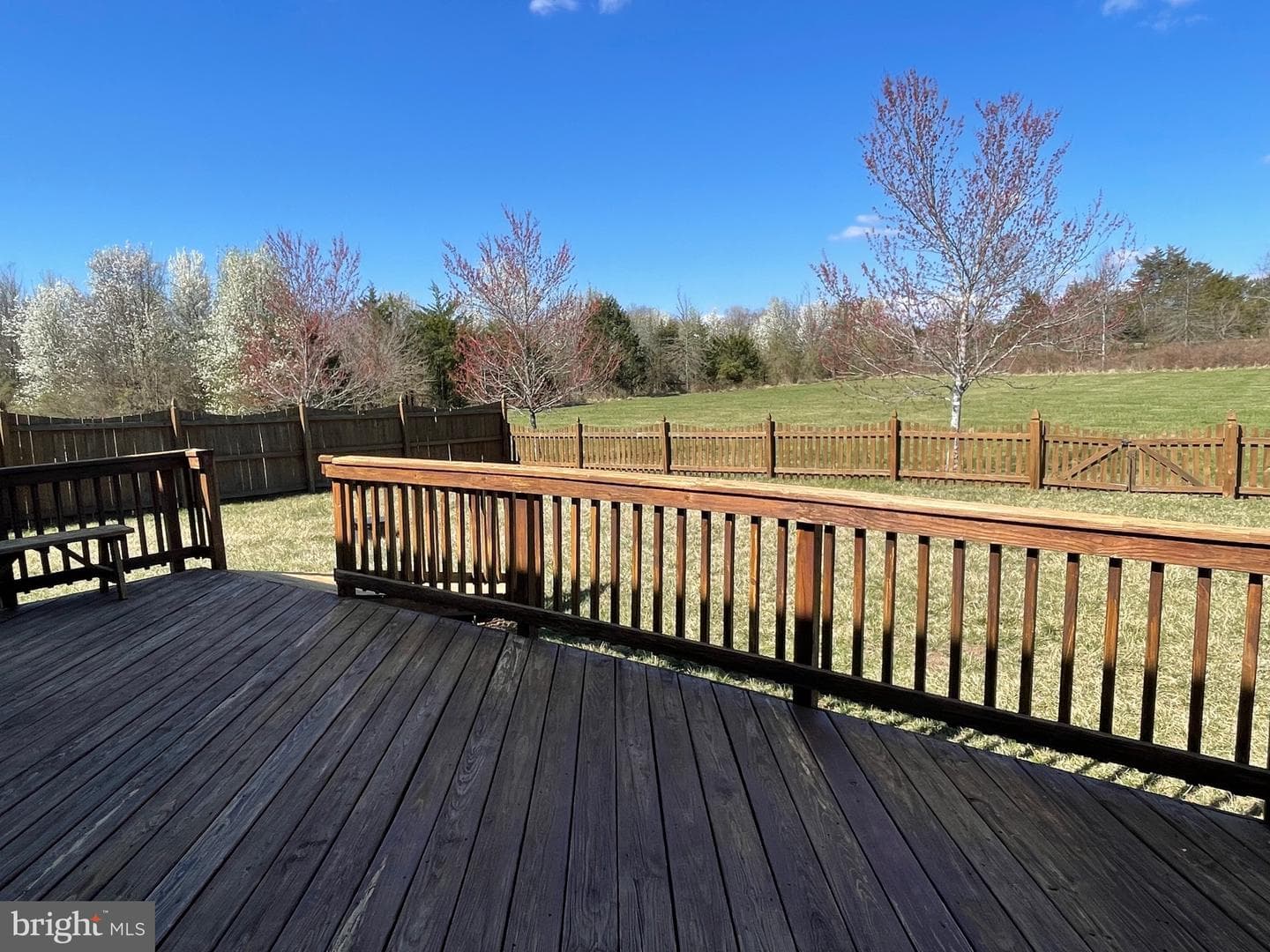 10985 Southcoate Village Drive photo 34