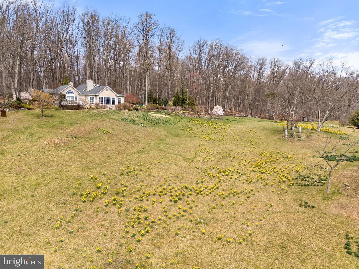6278 Rock Hill Mill photo 11