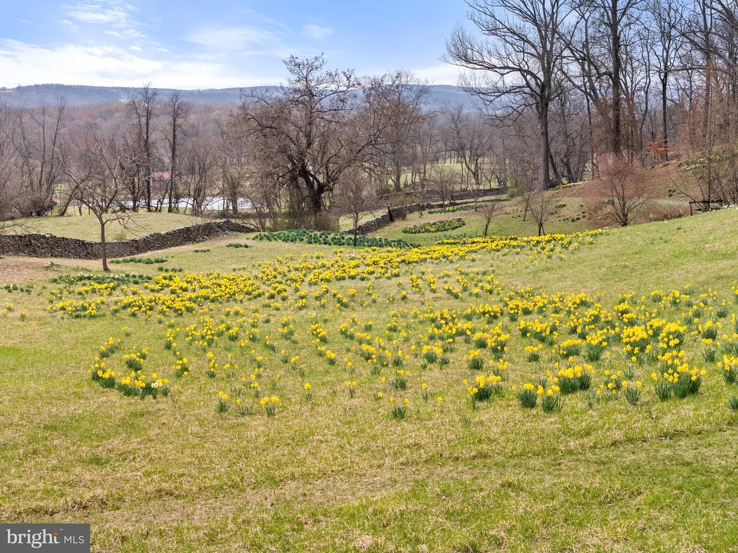 6278 Rock Hill Mill photo 13