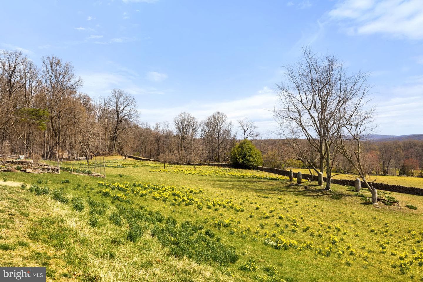6278 Rock Hill Mill photo 23