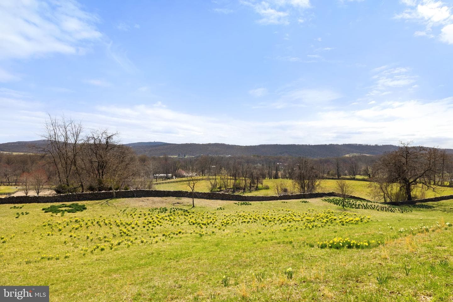 6278 Rock Hill Mill photo 24