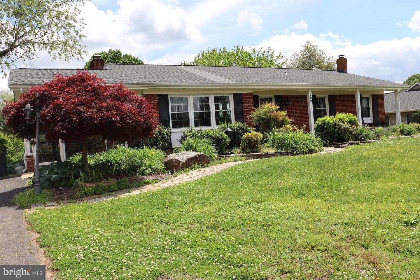 229 Dover Road photo 20