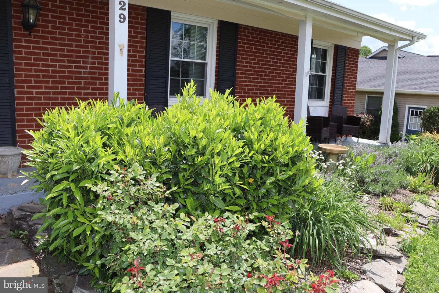 229 Dover Road photo 22