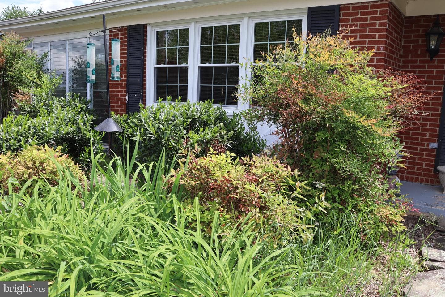 229 Dover Road photo 23