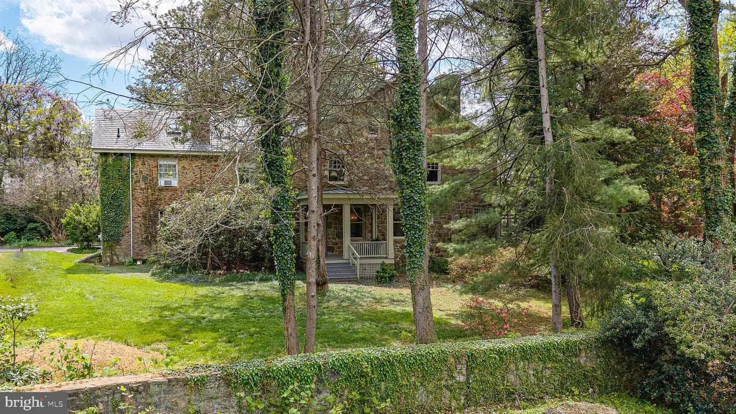 507 Winchester Street photo 48
