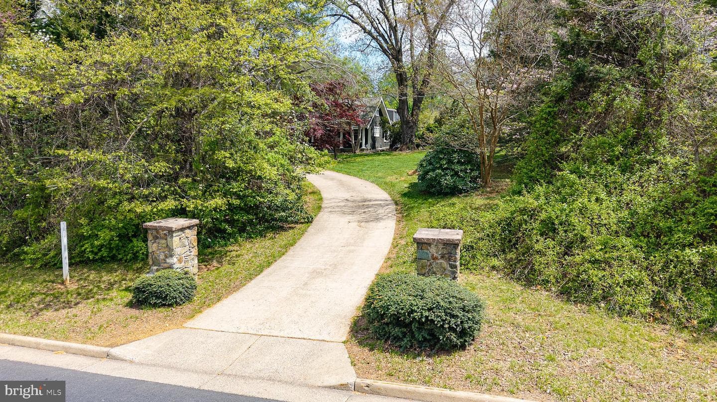 535 Winchester Street photo 3