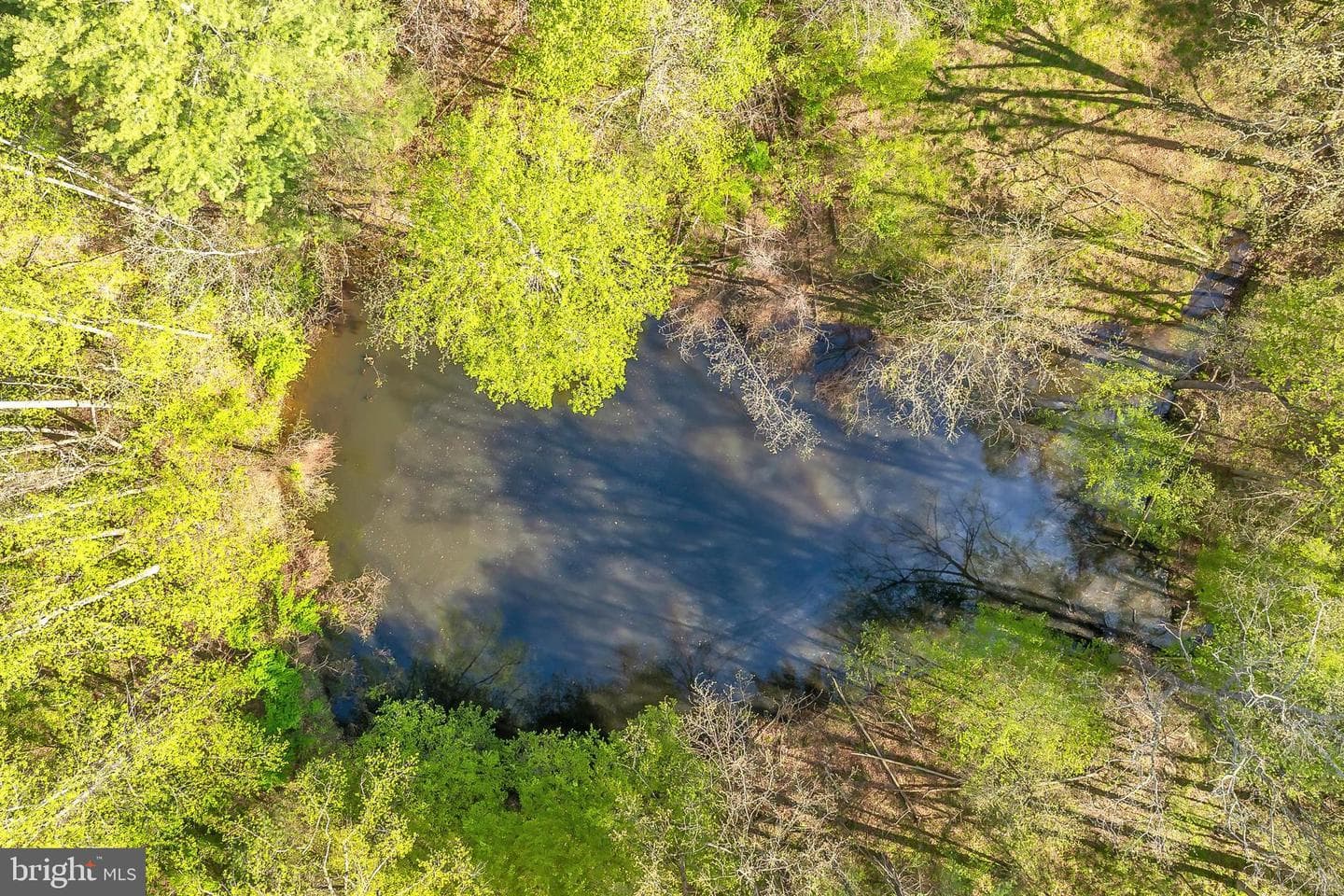 9480 Piney Mountain Road photo 66