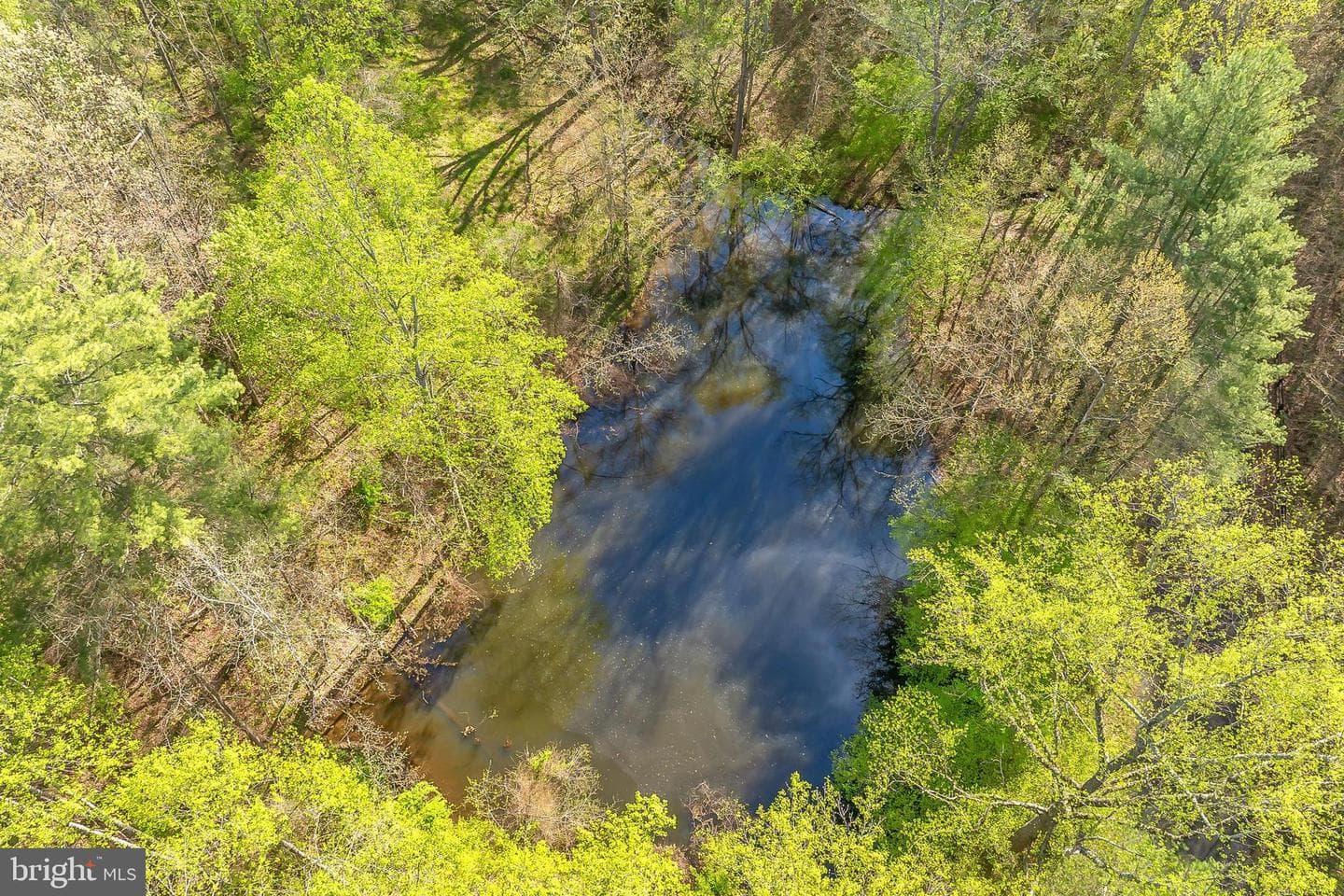 9480 Piney Mountain Road photo 67