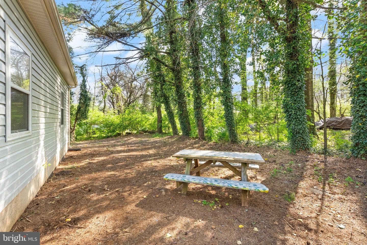 10488 James Madison Highway photo 46