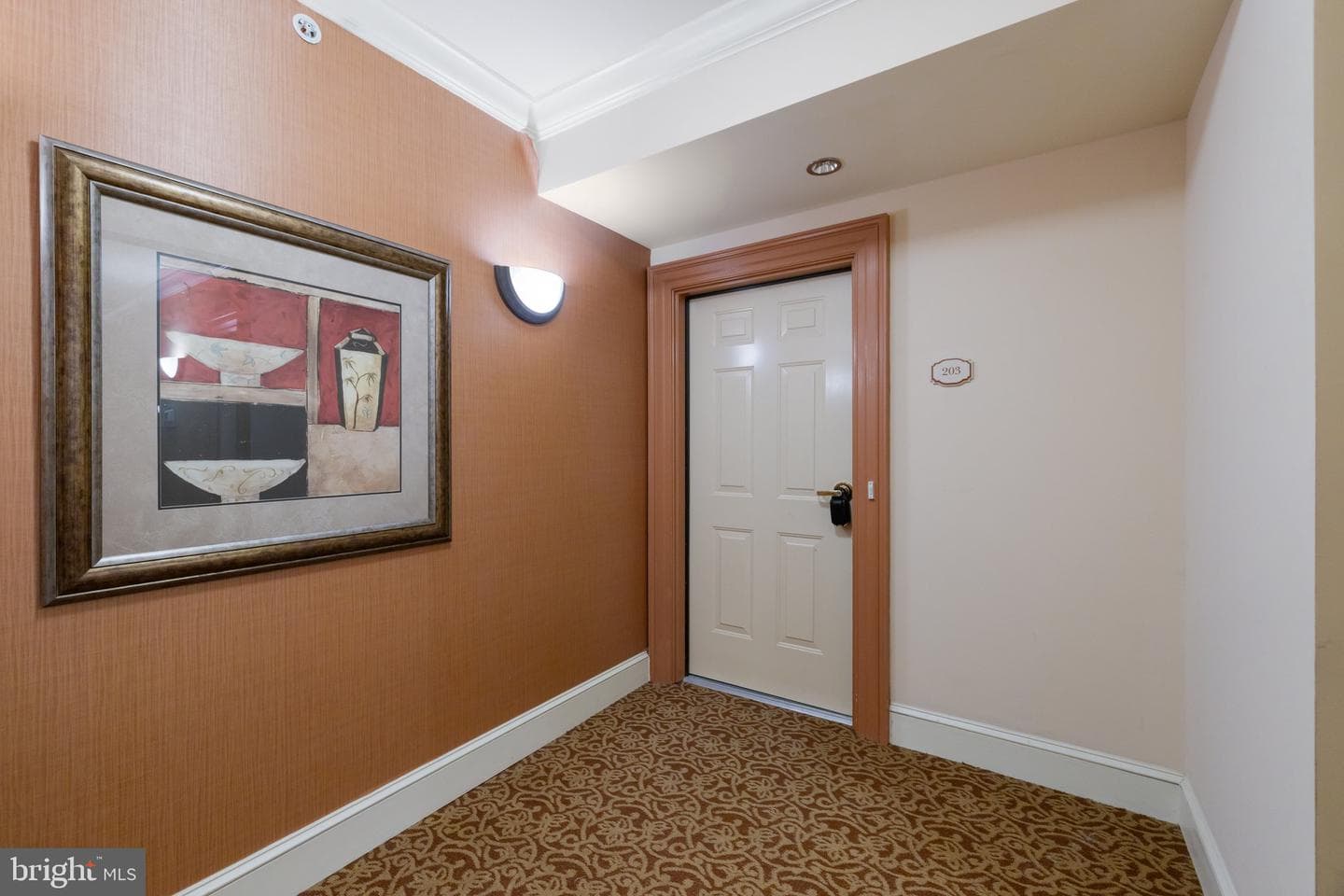 6704 Holly Farm Lane #203 photo 4