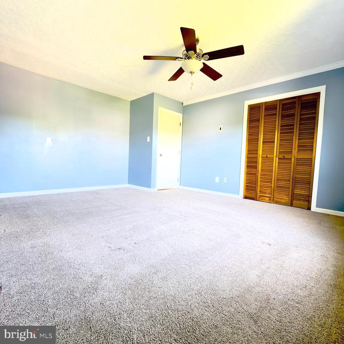 10954 Blake Lane photo 8