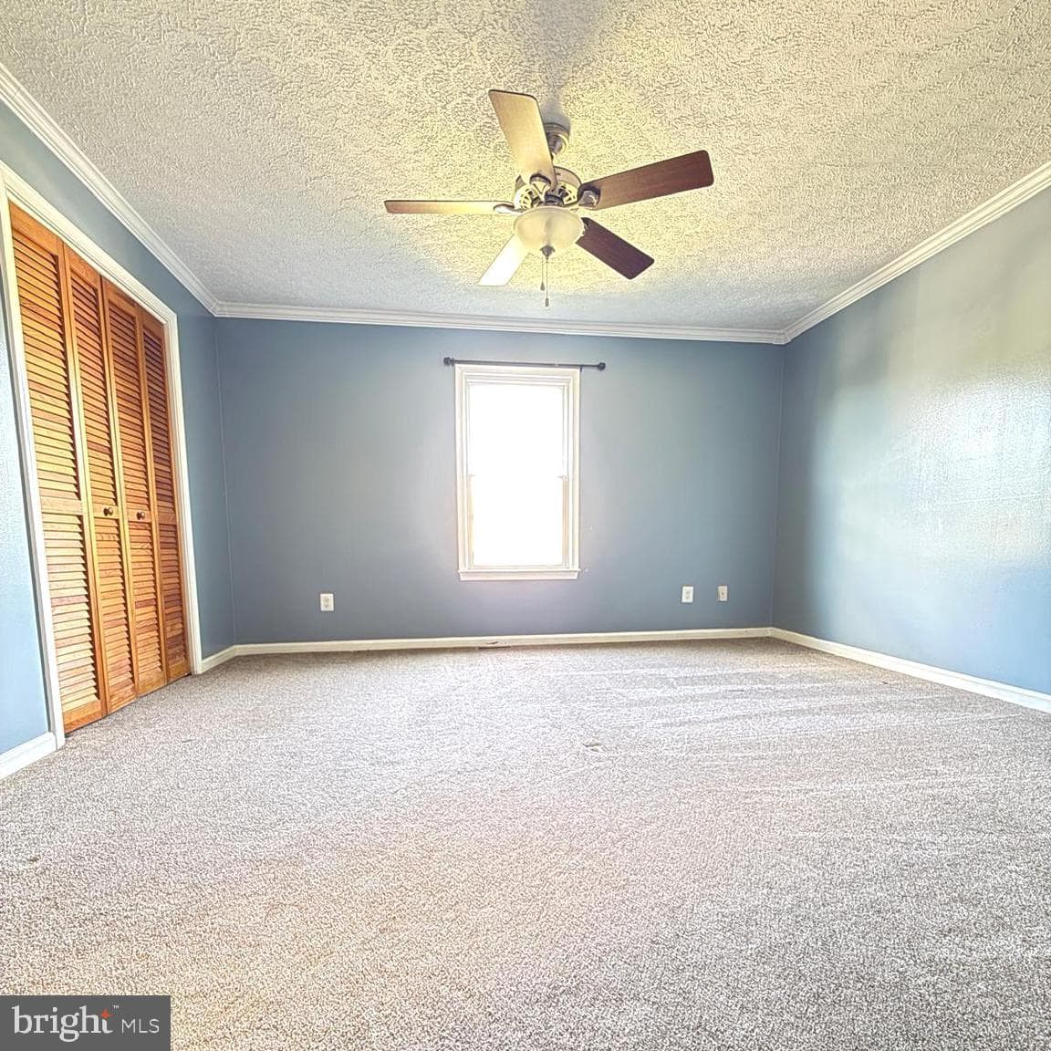 10954 Blake Lane photo 9