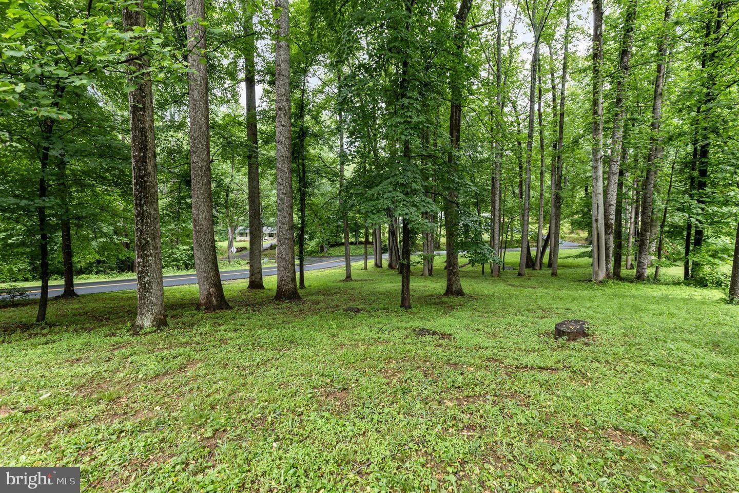 7378 Hilly Lane photo 35