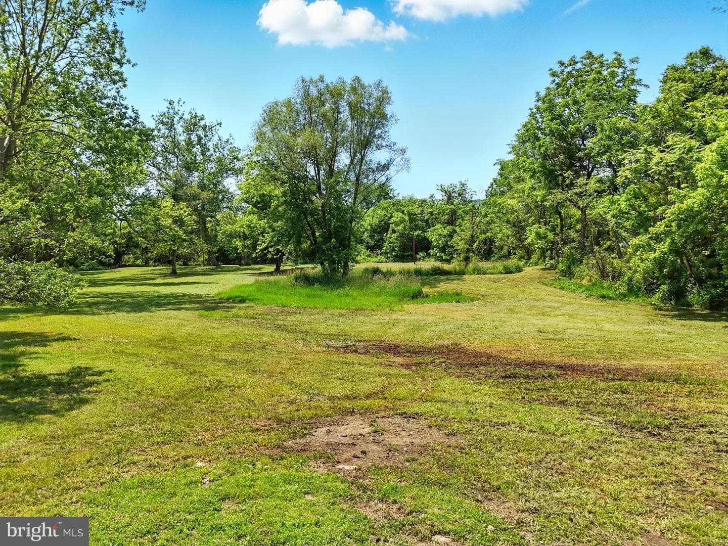 13057 John Marshall Highway photo 21