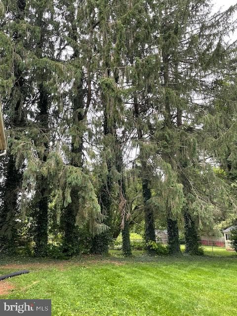 112 Blue Ridge Street photo 51