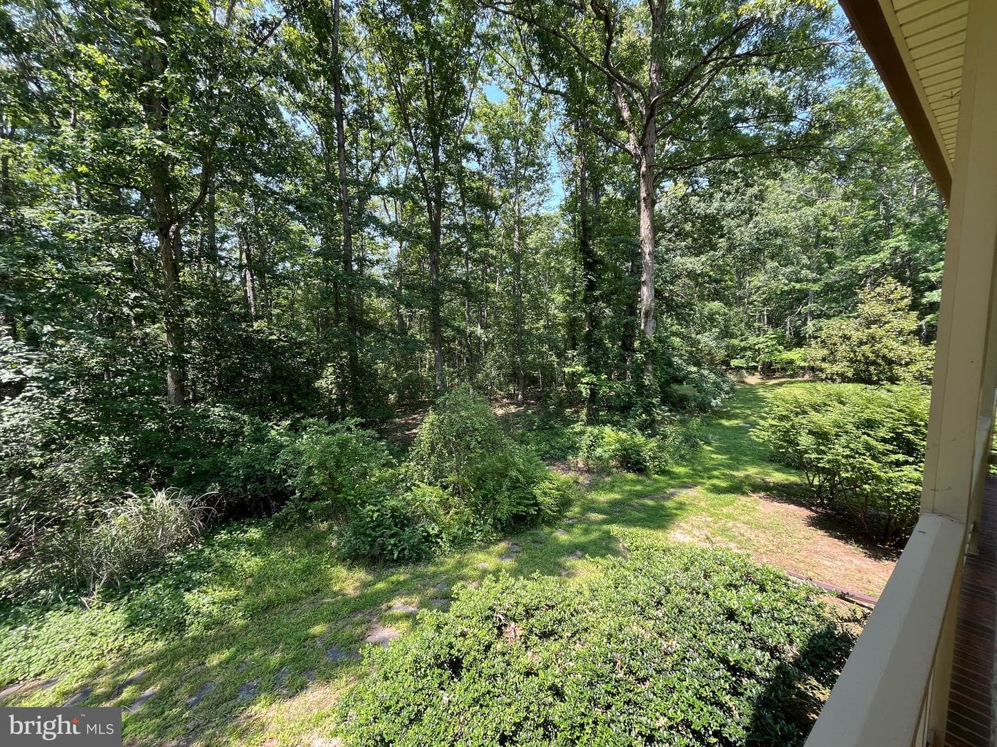 11459 Bristersburg Road photo 27