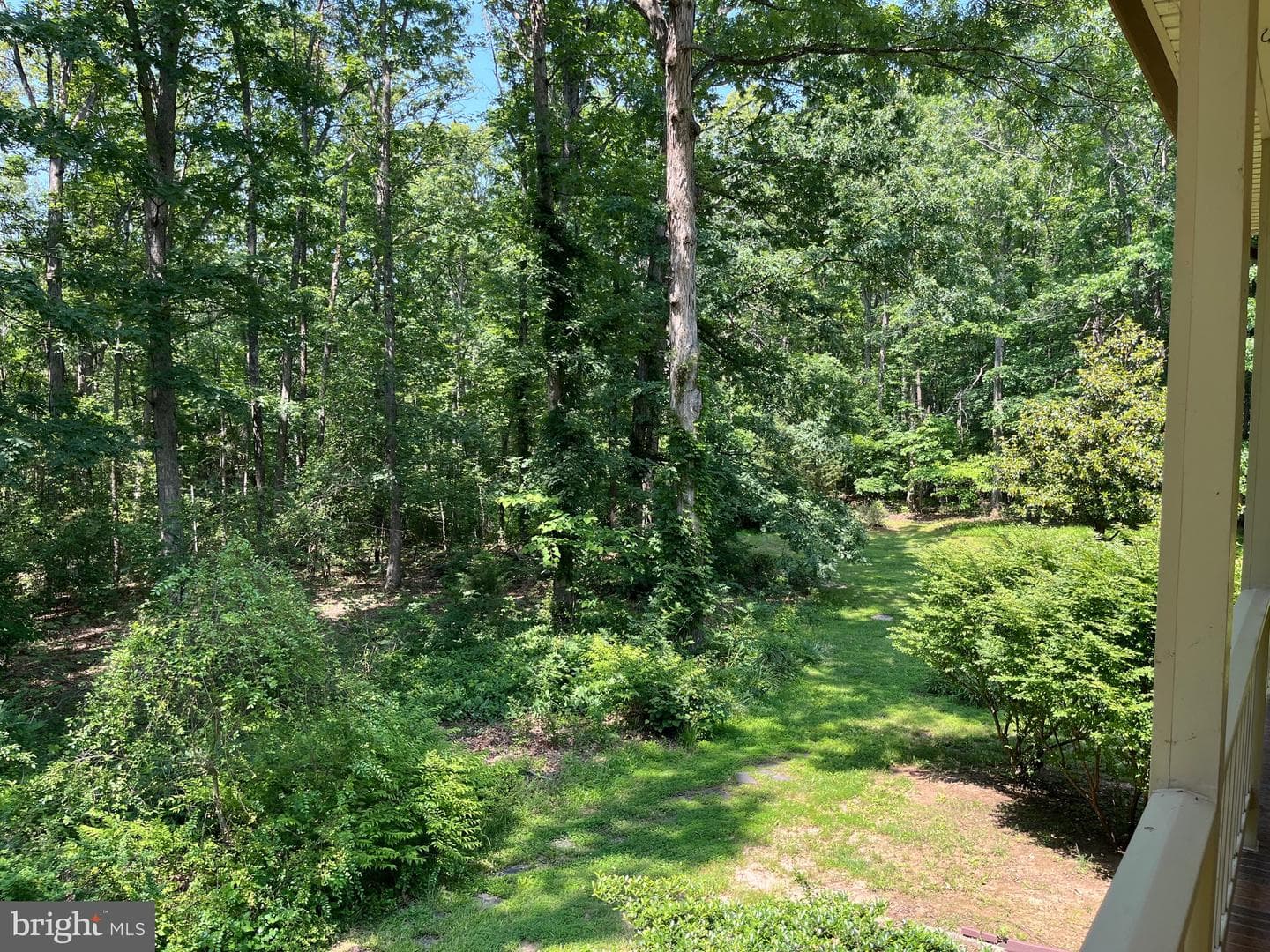 11459 Bristersburg Road photo 28