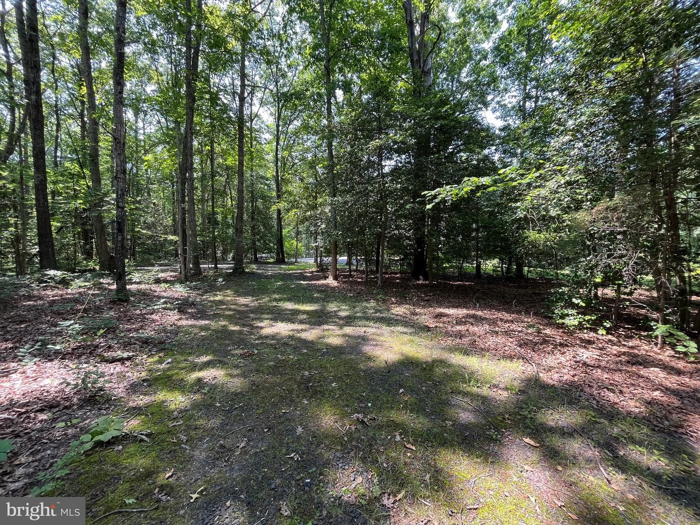 11459 Bristersburg Road photo 29