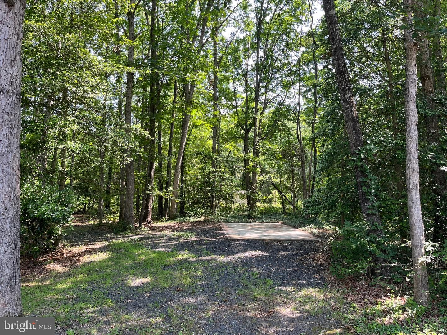 11459 Bristersburg Road photo 32