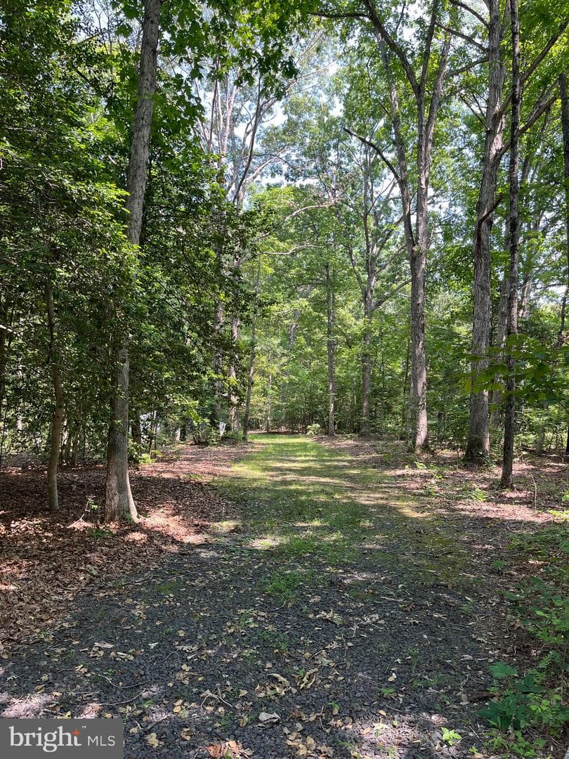 11459 Bristersburg Road photo 33
