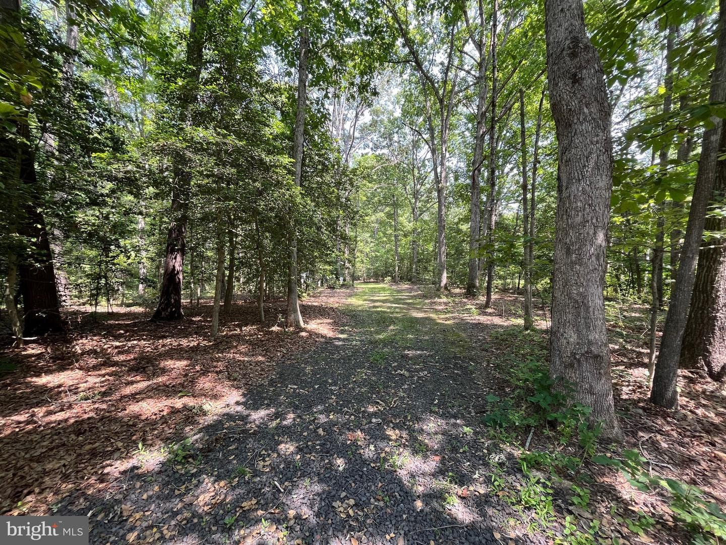 11459 Bristersburg Road photo 34