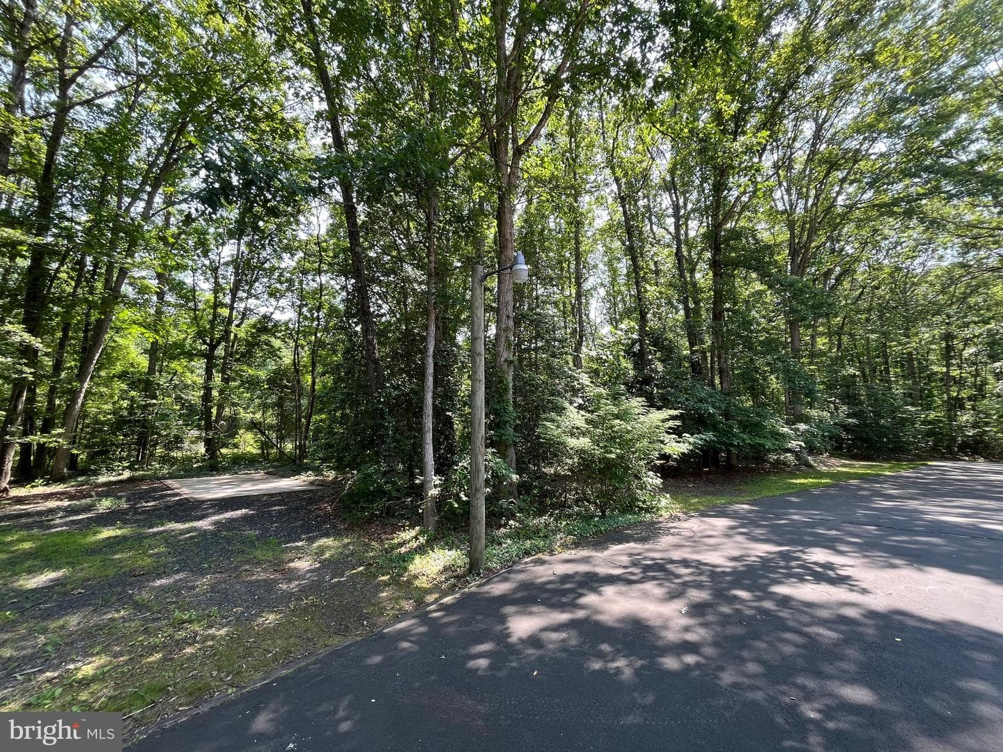 11459 Bristersburg Road photo 36