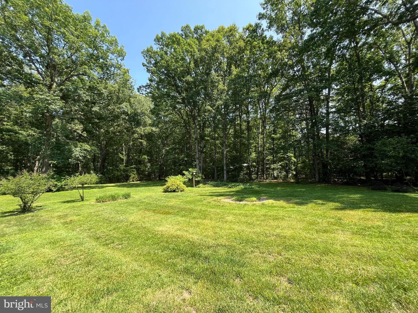 11459 Bristersburg Road photo 37