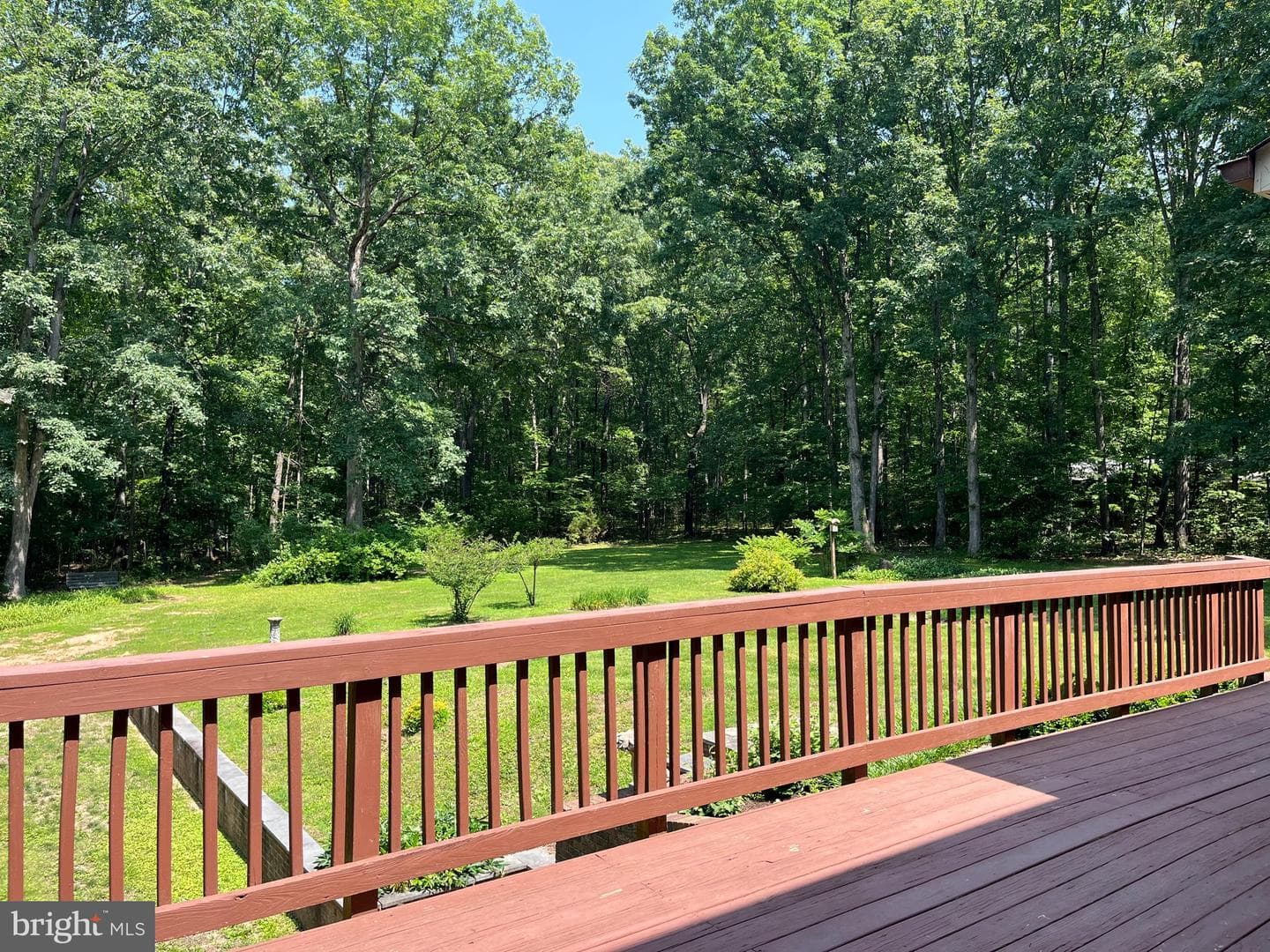 11459 Bristersburg Road photo 40