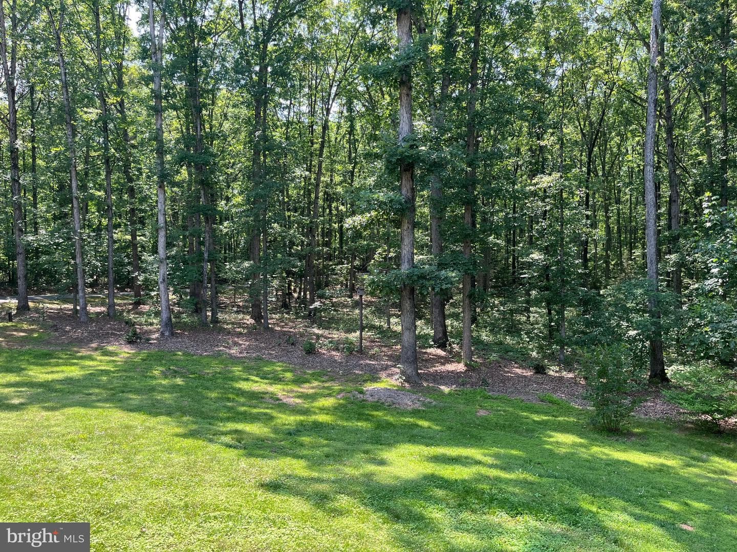 11459 Bristersburg Road photo 8