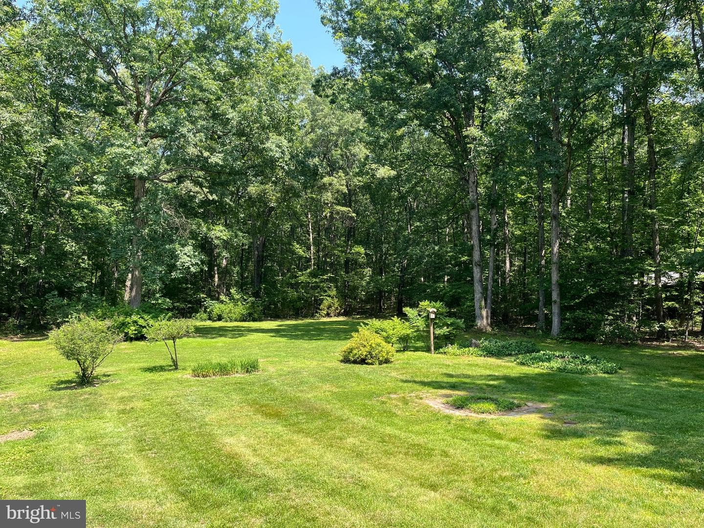 11459 Bristersburg Road photo 9