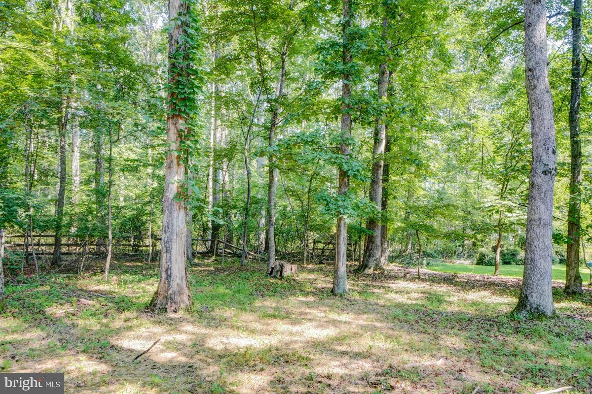 5127 Albrecht Lane photo 45