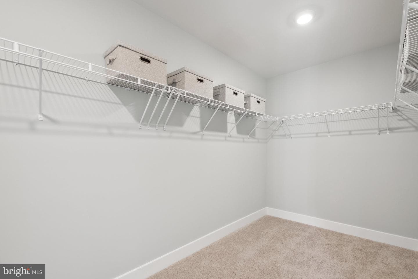 3413 Wooded Run Drive photo 44