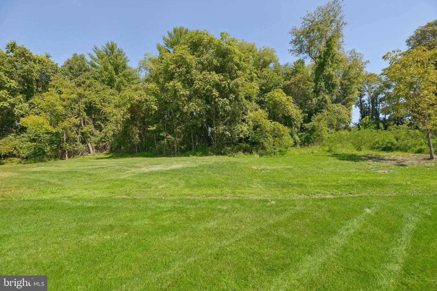 3413 Wooded Run Drive photo 62