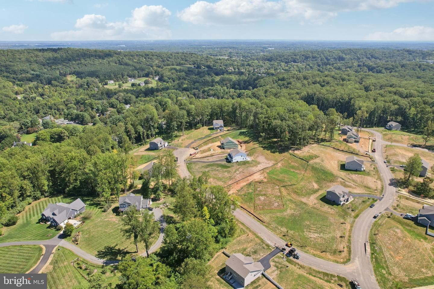 3413 Wooded Run Drive photo 78