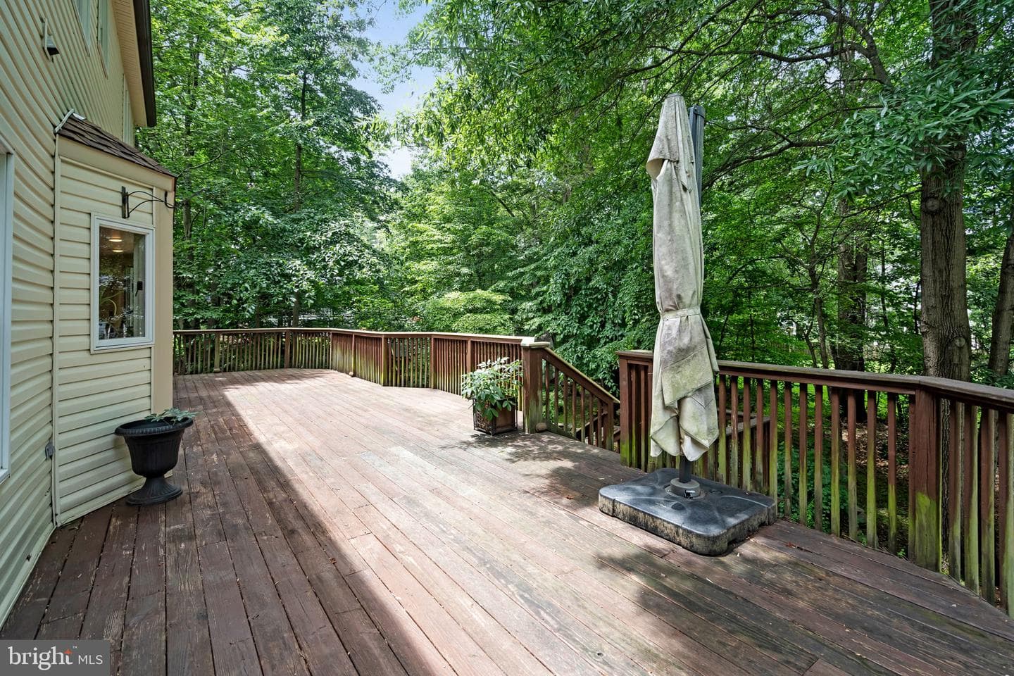 6886 Well House Drive photo 15