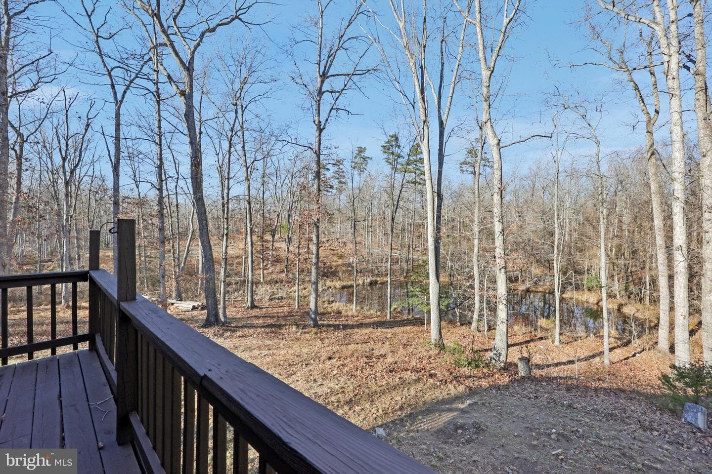 13445 Blackwells Mill Road photo 62