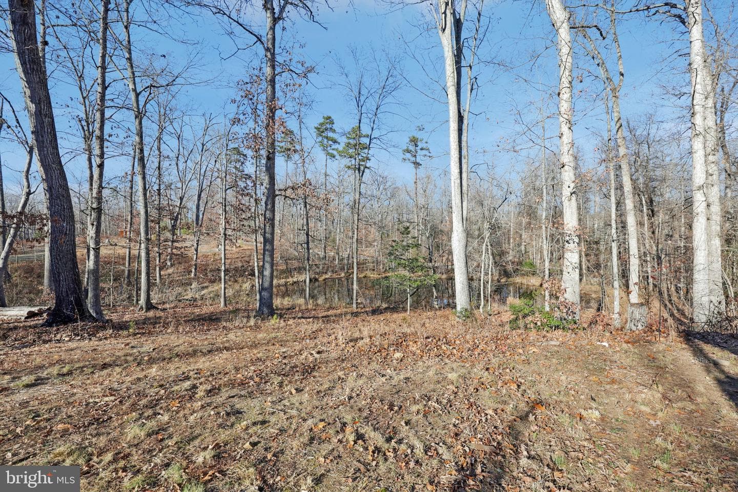13445 Blackwells Mill Road photo 63