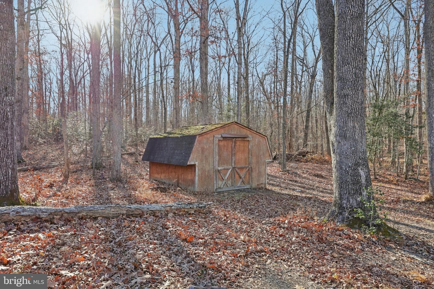 13445 Blackwells Mill Road photo 66