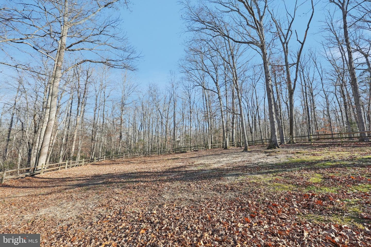 13445 Blackwells Mill Road photo 70