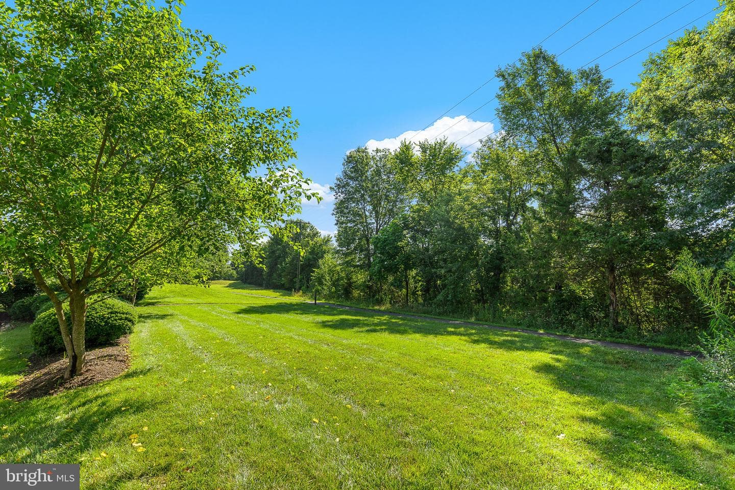 6161 Willow Place #104 photo 23