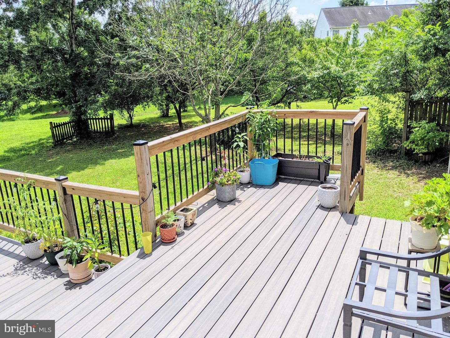 10816 King Nobel Lane photo 59