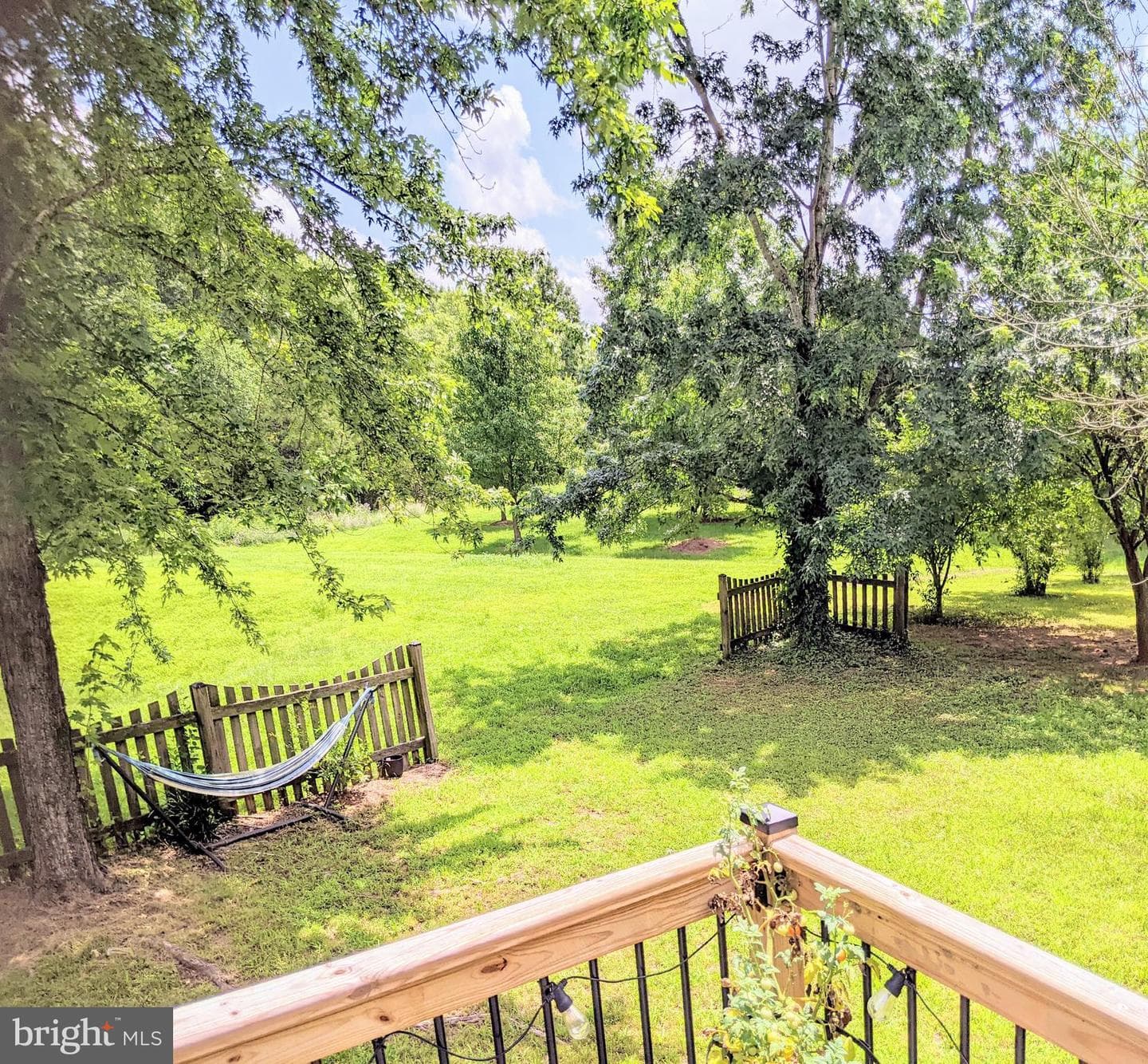 10816 King Nobel Lane photo 69