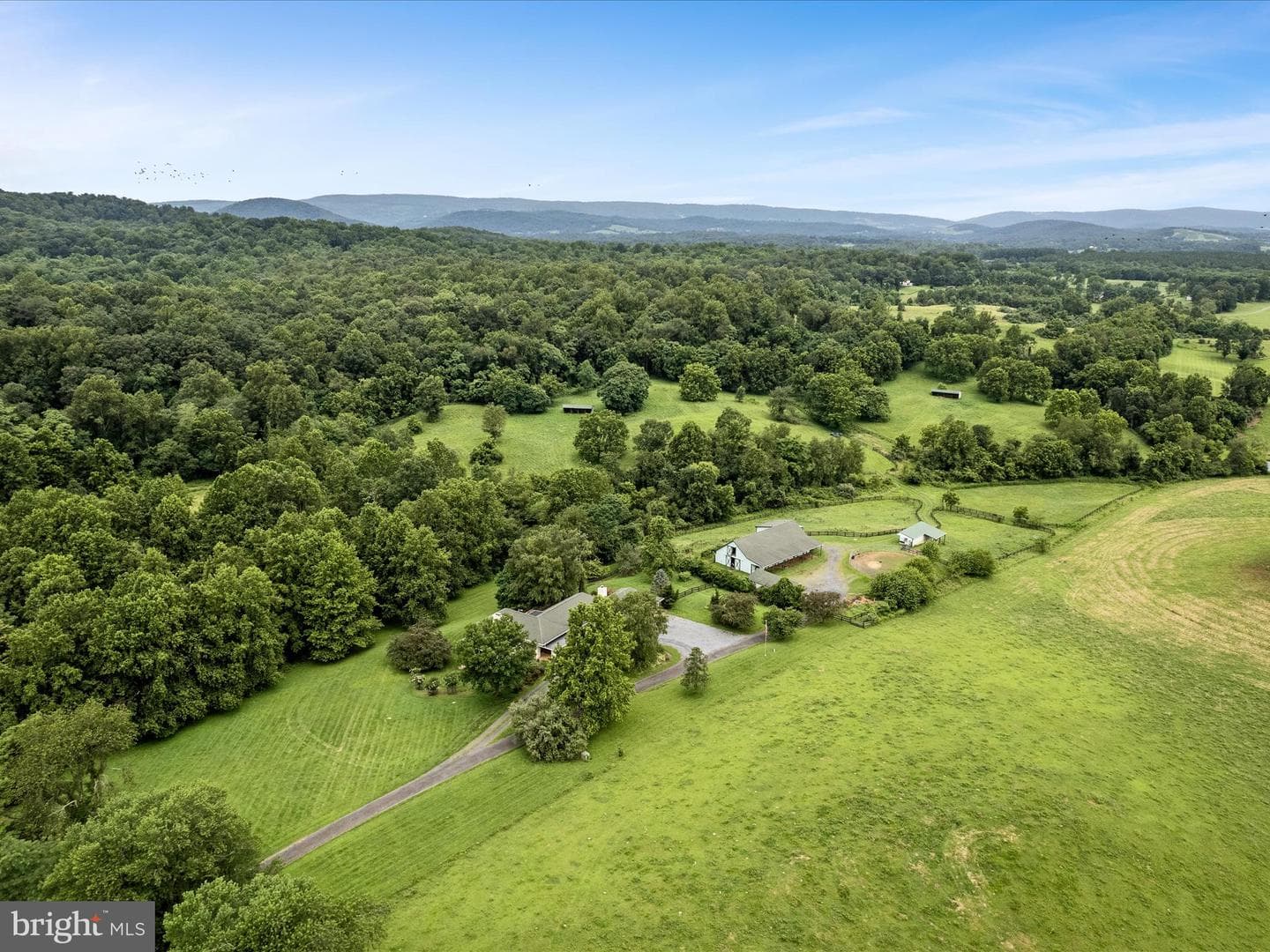 3959 Cobbler Mountain Road photo 6