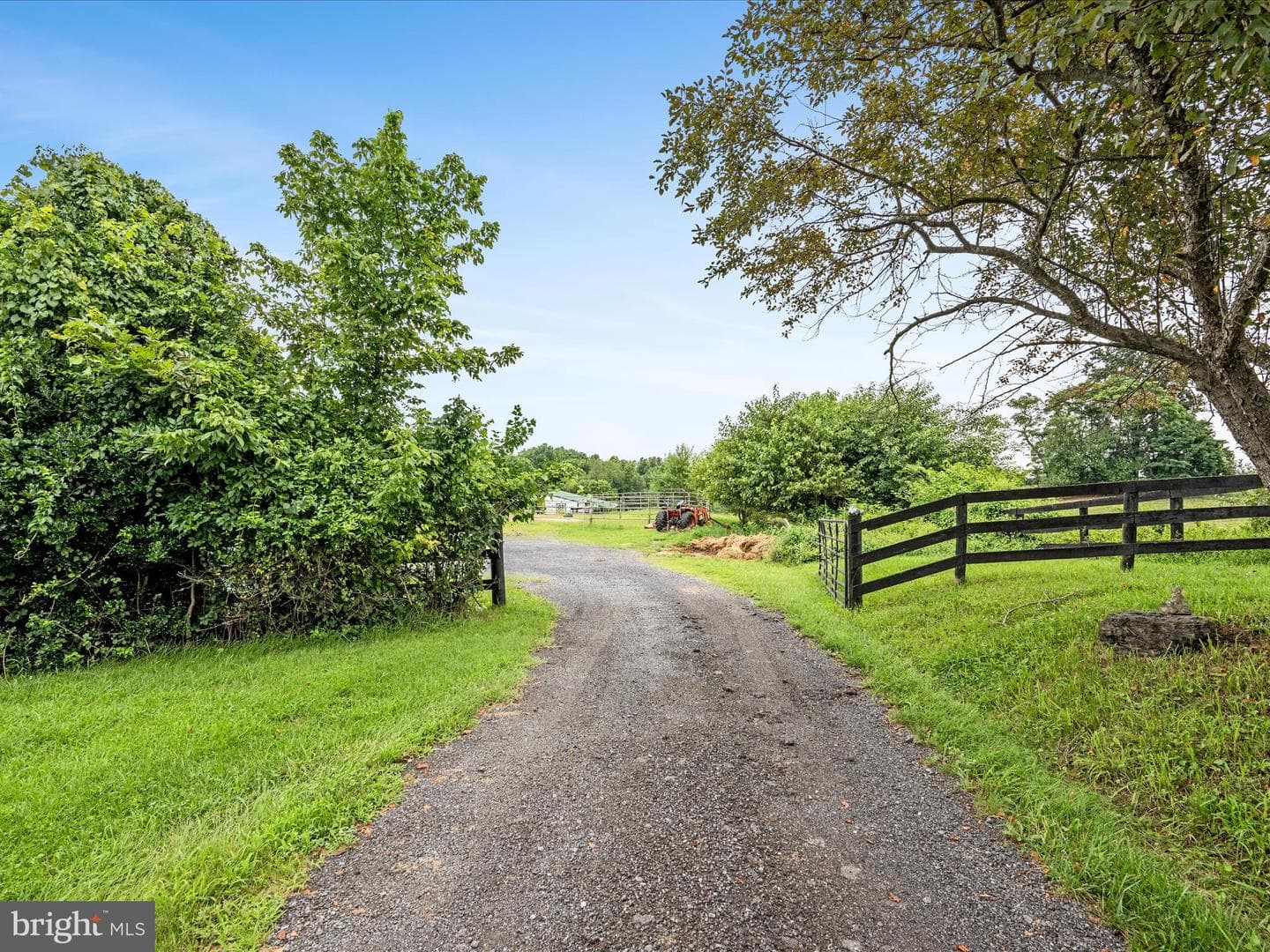 3959 Cobbler Mountain Road photo 69